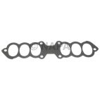 Fuel Injection Plenum Gasket