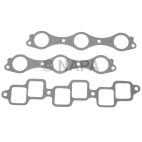 Fuel Injection Plenum Gasket