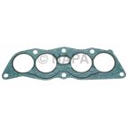 Fuel Injection Plenum Gasket