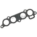 Fuel Injection Plenum Gasket