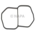 Fuel Injection Plenum Gasket