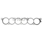 Fuel Injection Plenum Gasket