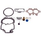 Carburetor Repair Kit