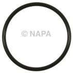 Fuel Pump O-Ring