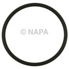 Fuel Pump O-Ring