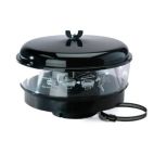 Air Cleaner and Filter Kit