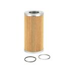 Cartridge Filter