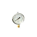 Pressure Gauge