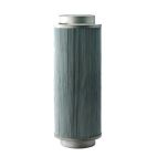 Cartridge Filter