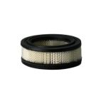 Engine Air Filter