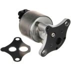 Exhaust Gas Recirculation (EGR) Valve