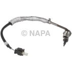 Exhaust Gas Temperature (EGT) Sensor