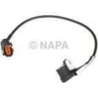 Engine Crankshaft Position Sensor