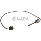Exhaust Gas Temperature (EGT) Sensor