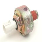 Ignition Knock (Detonation) Sensor