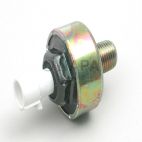 Ignition Knock (Detonation) Sensor