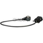 Ignition Knock (Detonation) Sensor