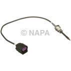 Exhaust Gas Temperature (EGT) Sensor