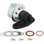 Exhaust Gas Recirculation (EGR) Valve