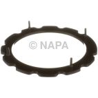 Fuel Pump Tank Seal