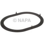 Fuel Pump Tank Seal