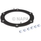 Fuel Pump Tank Seal