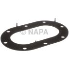 Fuel Pump Tank Seal