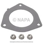 Diesel Particulate Filter (DPF)