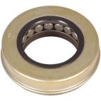 Thrust Bearing