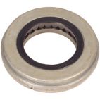 Thrust Bearing