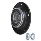 Bearing and Hub Assembly