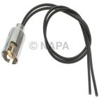 Combination Light Socket