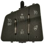 Cruise Control Switch