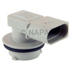 Combination Light Socket