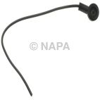 Brake Fluid Level Sensor Connector