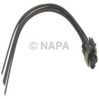 Fuel Pump Pressure Switch Connector
