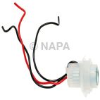 Combination Light Socket