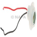 Combination Light Socket