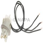 Combination Light Socket
