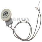 Back Up Light Socket