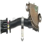 Neutral Safety Switch
