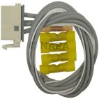 Ignition Switch Connector