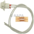Instrument Panel Light Socket
