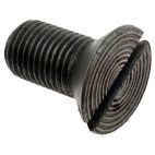 Starter Pole Shoe Screw