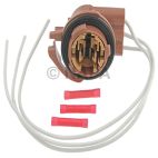 Parking Light Bulb Socket