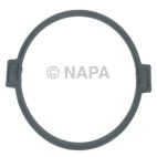Distributor Cap Gasket