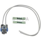 Oil Pressure Switch Connector