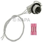 Combination Light Socket