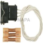 Ignition Knock (Detonation) Sensor Connector