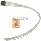 Headlight Control Module Connector